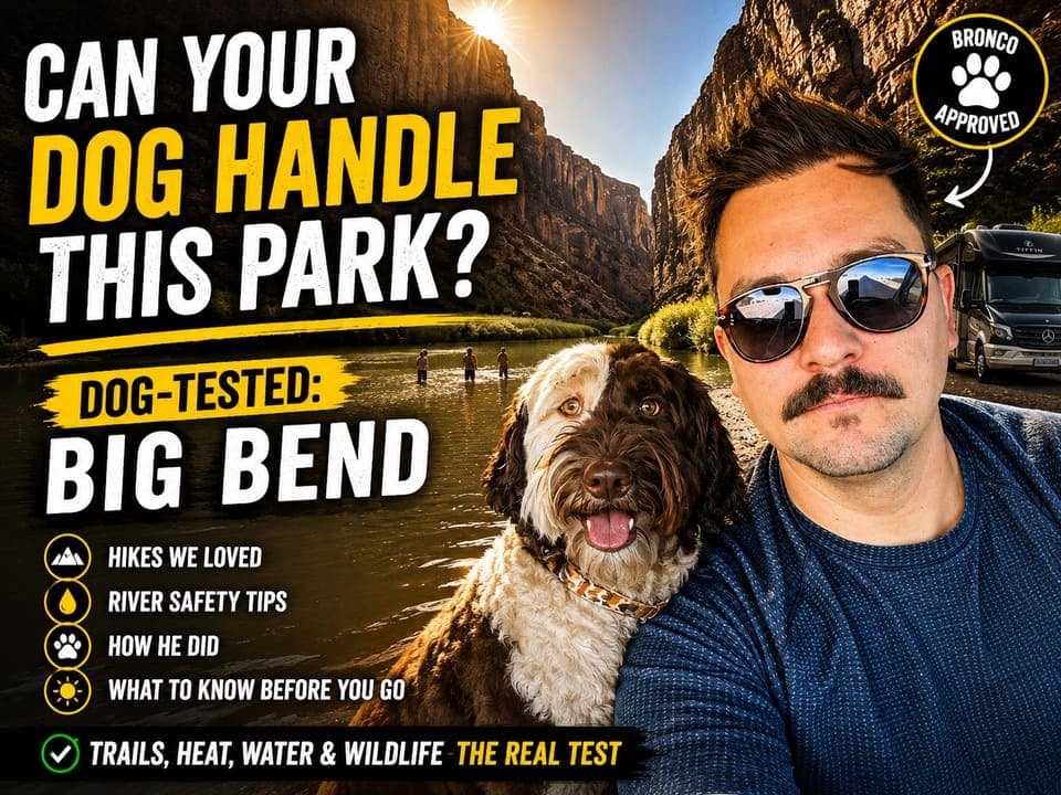 Episode thumbnail: Can Your Dog Handle This Park? Dog-Tested: Big Bend